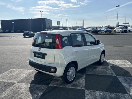 FIAT Panda 1.2 8v 69ch S&S Easy  Euro6D à vendre à Châteauroux - Image n°5