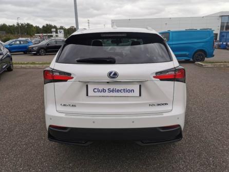 LEXUS NX 300h 4WD Luxe à vendre à Montargis - Image n°6