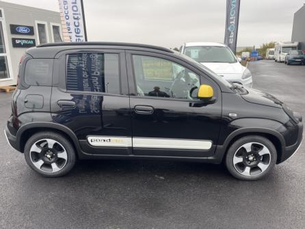 FIAT Panda Classic 1.0 70ch BSG S&S Pandina à vendre à Châteauroux - Image n°4