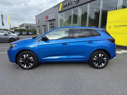 OPEL Grandland X 1.2 Turbo 130ch Elegance Business BVA8 à vendre à Melun - Image n°8